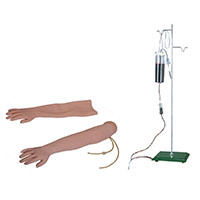 Venipuncture & Intramuscular Injection Arm Model LT-S2 