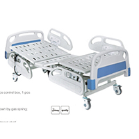 Luxury Two Function Electric Care Bed LT-826