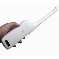 Wireless ultrasound Transvaginal probe