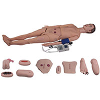 Full-functional Nursing Manikin(Blood Pressure Simulator) LT-2300 