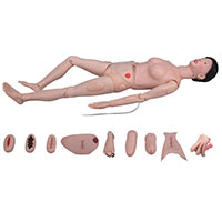 Female Nursing Manikin LT-2200 