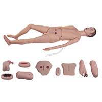 Combination Nursing Manikin LT-2100 