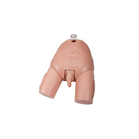 Advanced Male Bladder Puncture Simulator LT-29E 