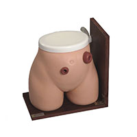 LT-38 Ostomy Nursing Model