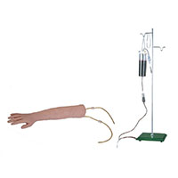 Arm Venipuncture Training Model LT-S 