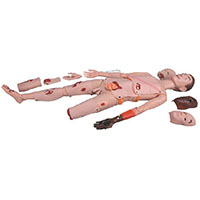 Trauma Manikin LT-G110 