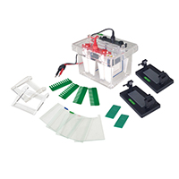 Mini-Protean Electrophoresis Cell SCZ4+ 