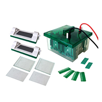 Vertical Mini Protean Electrophoresis Cell Mini-P4 