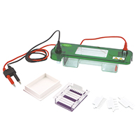 Horizontal Electrophoresis Cell SPAT 