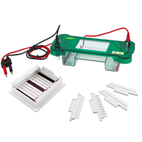 Horizontal Electrophoresis SPBT 