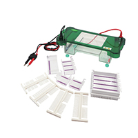 Horizontal Electrophoresis SPCT 