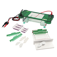 Horizontal Electrophoresis Cell SPFT 