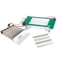 Horizontal Electrophoresis Cell SPHT 