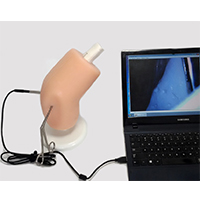 Arthroscope Simulator