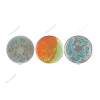 Microbial Culture Chromogenic Medium Chromogenic E.coli Agar Escherichia coli culture medium